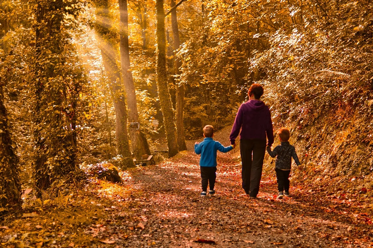 Activités nature 6-12 ans : ce qui tient vraiment l'attention