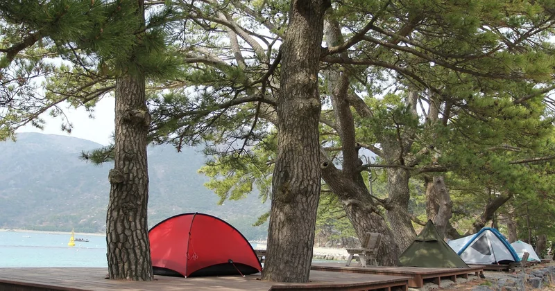 Camping avec base nautique : le vrai critère de choix