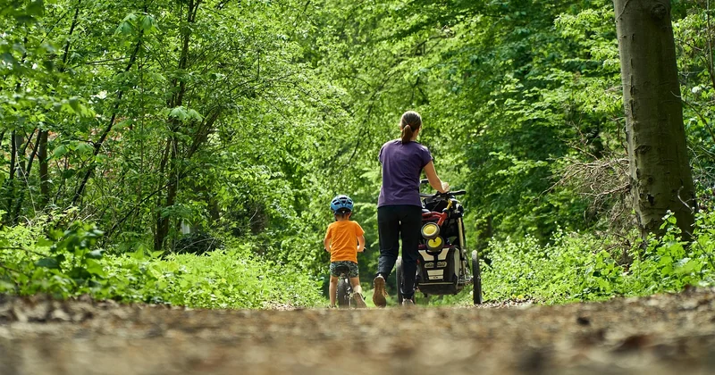 Trois boucles forestières que j'ai testées avec des enfants